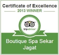 Certificate of Excellence 2013